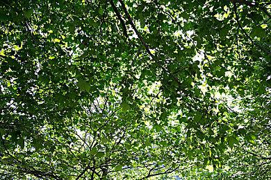 《光明旅者：破坏者》抢先体验推迟至秋季