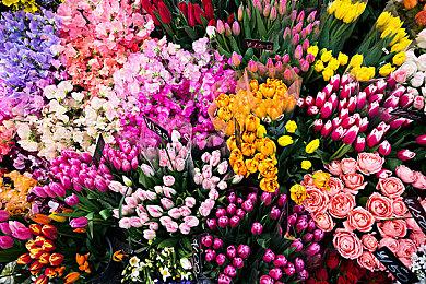 《星刃》女主泳装美图欣赏：性感热辣 物理效果好