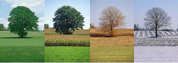 《冲就完事模拟赛》联动最终幻想7免费DLC 3月3日全平台上线